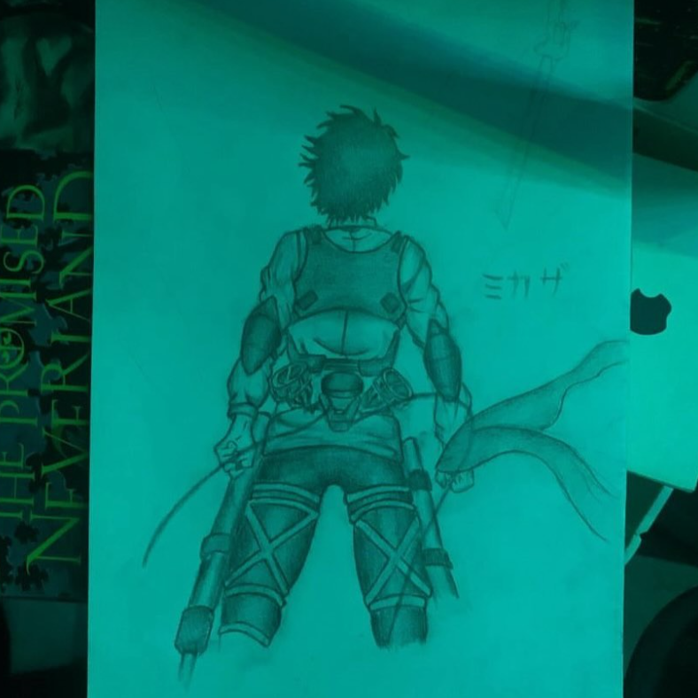 Mikasa Ackerman Artwork